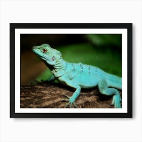 Green Lizard on a Tree Art Print