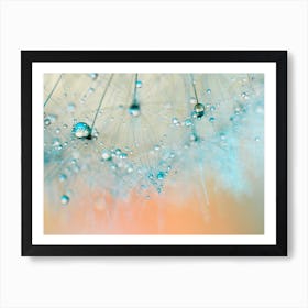 Dandelion -Droplets of Aqua Art Print