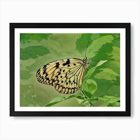 Paper Kite Butterfly in a Green Haven. A graceful paper kite butterfly rests delicately on a leaf, showcasing its elegant black-and-white patterned wings. The serene green background enhances the butterfly's intricate design, creating a tranquil natural scene. Art Print