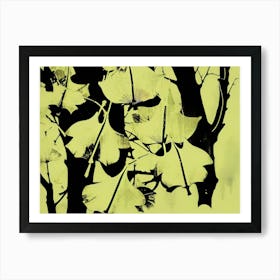 Ginkgo Leaves 44 Art Print