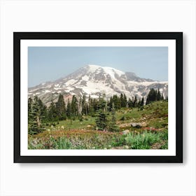 Mount Rainier Wildflowers - Mountain Photography Art Print