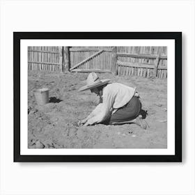 Mrs, Faro Caudill Settling Out Cabbage Plants In Her Garden, Pie Town, New Mexico By Russell Lee Art Print