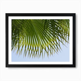 Palm leaf against a blue sky Art Print