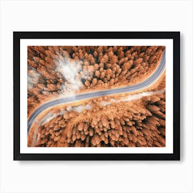 Aerial View Of A Winding Road Through Pine Forest Art Print