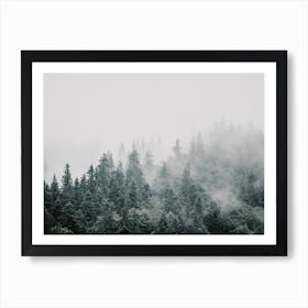 Misty Forest Affiche