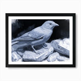 Bird On Rocks Art Print