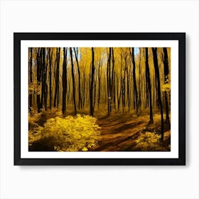Autumn Forest 34 Art Print