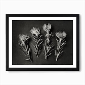 Monochrome Pins 3 Art Print