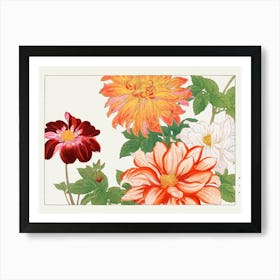 Dahlias 2 Art Print