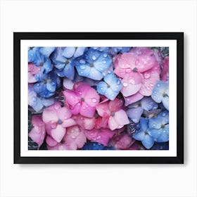 Hydrangeas 29 Art Print