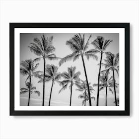 Black And White Palm Trees 2 Art Print