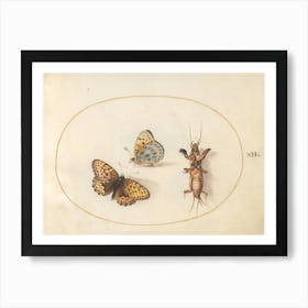 Two Butterflies And A Mole Cricket, Joris Hoefnagel Art Print