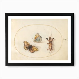 Two Butterflies And A Mole Cricket, Joris Hoefnagel Poster