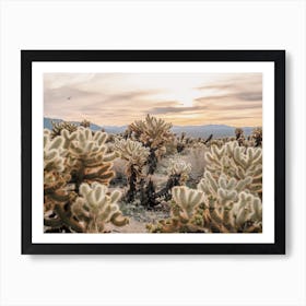 Cholla Cactus Desert Art Print