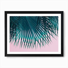 Blue-green palm leaf and soft pink sky Art Print