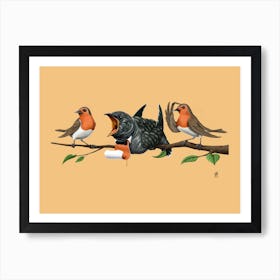 Cock Robin (Colour) Art Print