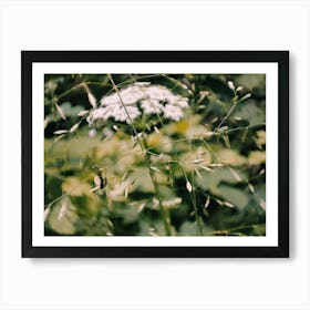 wildflowers, wild me Art Print