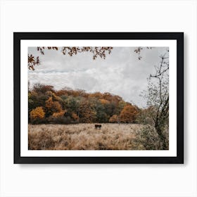 Cow In Fall Forest Art Print