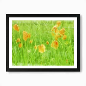 Field Of Poppies in the summertime Poster