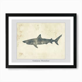 Common Thresher Shark Silhouette 2 Poster Póster