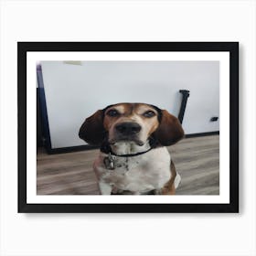 Hound dog Art Print