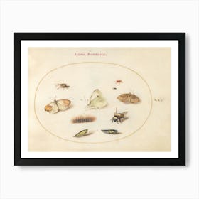 Three Butterflies, A Caterpillar, A Bee, Two Chrysalides, And Three Weevils, Joris Hoefnagel Art Print