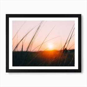 Cape Cod Meadow Art Print