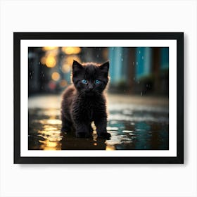 Black Kitten with blue eyes In The Rain Art Print