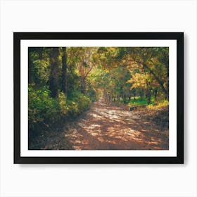 Path Through The Forest, Oil Painting Art Print