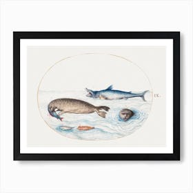 Shark, Seals And Fish (1575–1580), Joris Hoefnagel Art Print