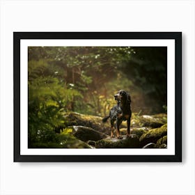 Cocker Spaniel In The Forest- Scotland Highland UK dog photo print - moody animal photography Art Print