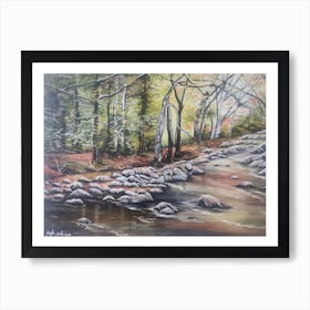 Forest stream 1 Art Print