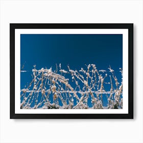 Unitltled 25 - Snow in the Vineyard Series Art Print