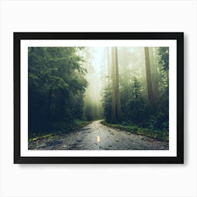 The Redwood Road - National Park Nature Photography Art Print