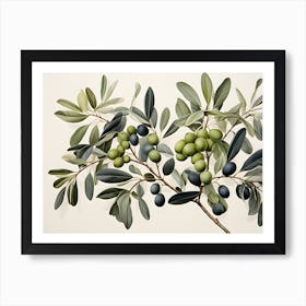 Olive Branch 1 Art Print