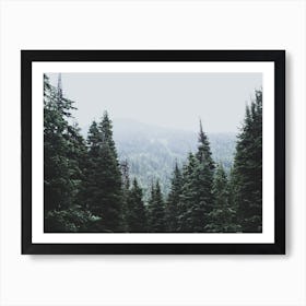 North Cascades National Forest USA II Art Print