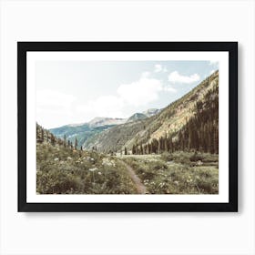 Wildflower Hiking Trail Art Print