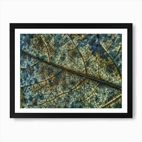 Autumn Leaf Metal Print Art Print