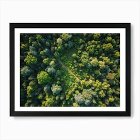 Aerial View Capturing The Vibrant Canvas Of A Lush Green Forest In Springtime Canopy Of Dense Reju (6) Art Print