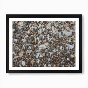 Tiny And Large Sea Shell And Rocks Texture Background 1 Art Print