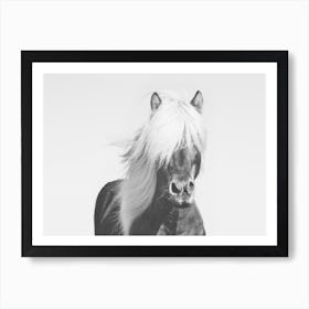 Long Haired Horse Art Print