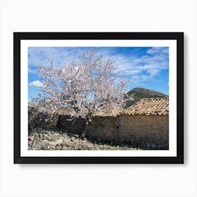 Almond tree in bloom and farmhouse Art Print