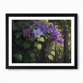 Clematis Draped Fence Hanging Down Art Print