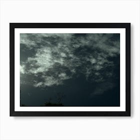 skyfly Art Print