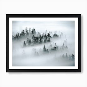 Fog Covered Trees Art Print