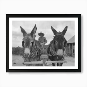 Burros Pulling Cart Which Mr, Leatherman, Homesteader, Is Driving, Pie Town, New Mexico By Russell Lee Art Print