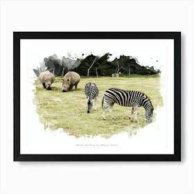 Werribee Open Range Zoo, Melbourne, Victoria Art Print