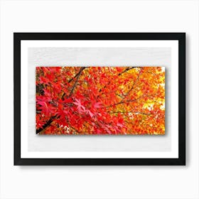 Bright Botanical Art Featuring Fall Foliage Vibrant Red Orange And Neon Colors Framing A Golden M (5) Art Print