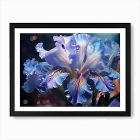 Blue Iris 2 Art Print