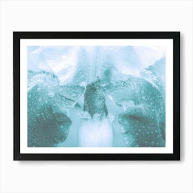 A Delicate Wet Cyan Flower Art Print